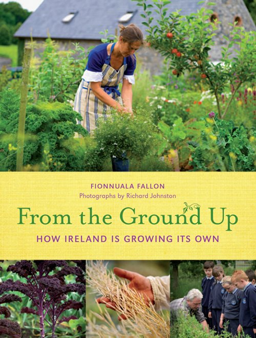 From The Ground Up by Fionnuala Fallon